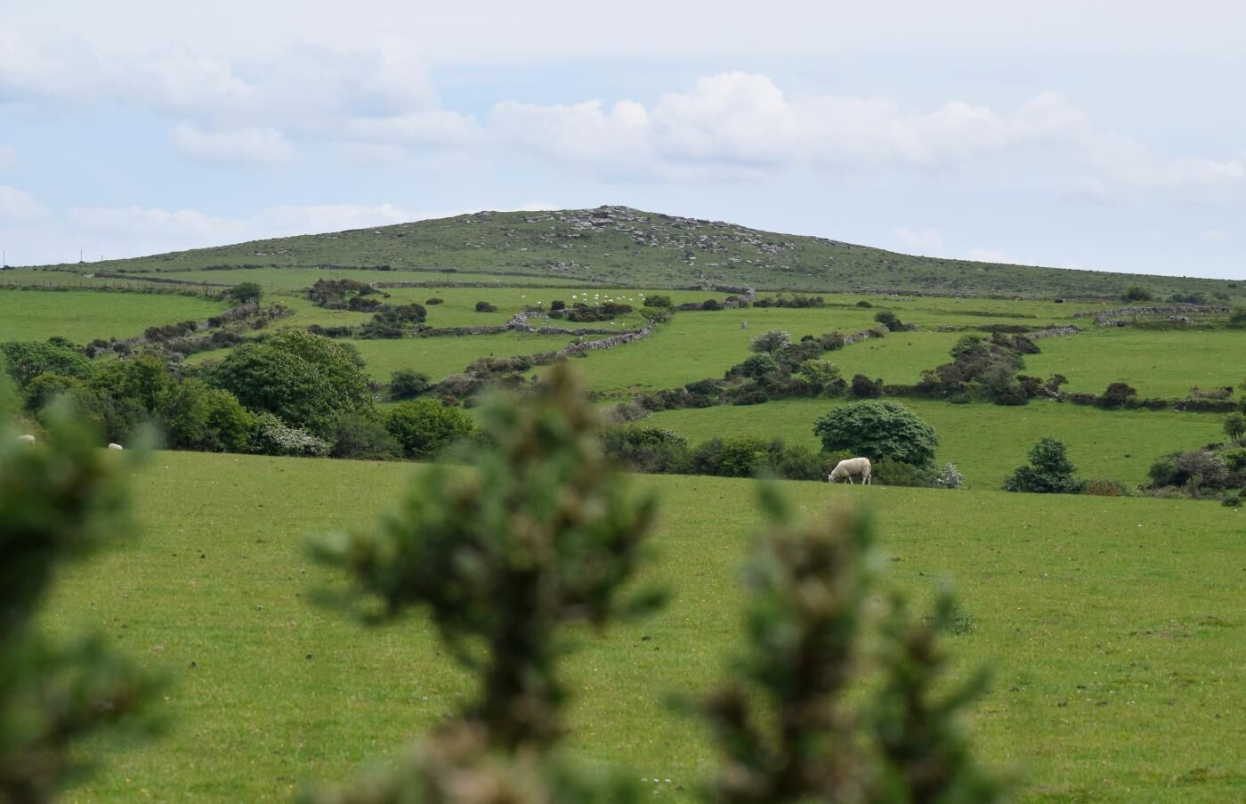 Ein grünes Feld mit einer Hügelkulisse im Hintergrund.
