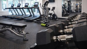 Ein Fitnessstudio mit Laufbändern, einer Hantelbank und Kurzhanteln.