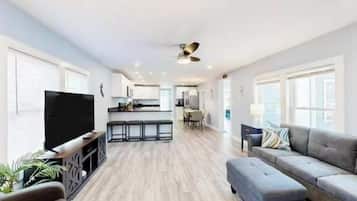 电视、DVD 播放器