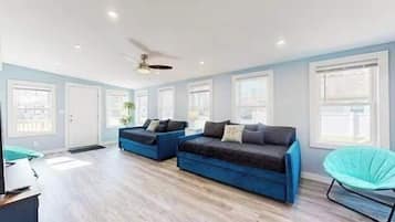 电视、DVD 播放器