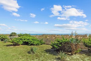 Property grounds - Sandy Square 103 (Ocean City)