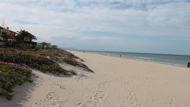 Una playa arenosa con huellas, cielo despejado y edificios al fondo.