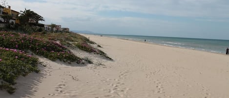 Ein sandiger Strand mit Fußabdrücken, einem klaren Himmel und Gebäuden im Hintergrund.