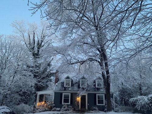The Blue House, a 4-bedroom house in beautiful Lynchburg central location