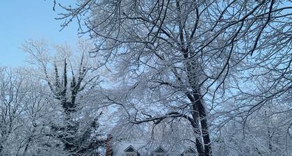 The Blue House, a 4-bedroom house in beautiful Lynchburg central location