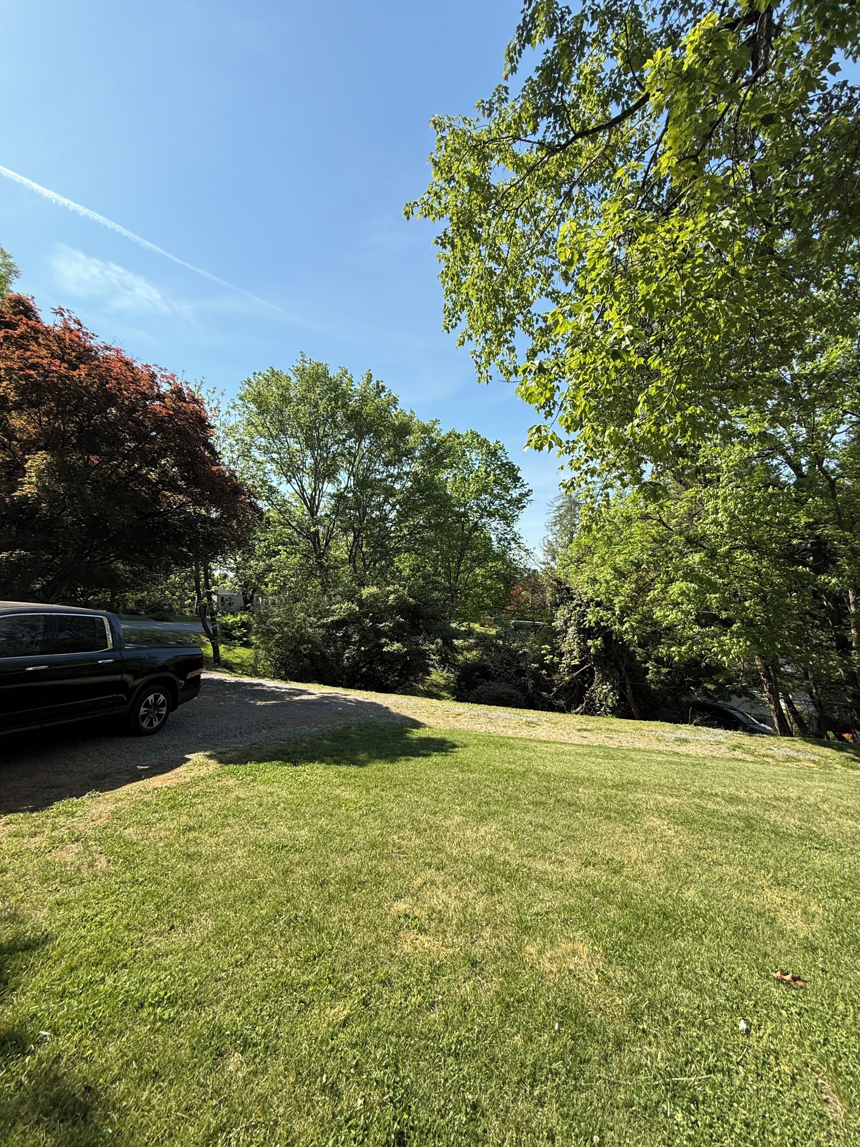 A grassy area with trees and a parked vehicle.