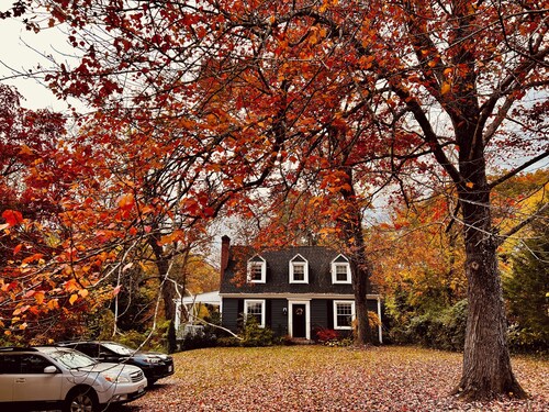 The Blue House, a 4-bedroom house in beautiful Lynchburg central location
