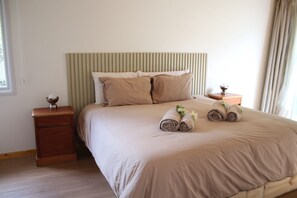 Fer et planche à repasser, accès Internet, draps fournis