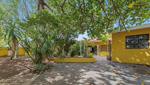 Um pátio com um edifício amarelo, plantas em vasos e um caminho pavimentado.