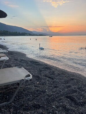 A pebbled beach with lounge chairs and a swan swimming in the water. - 2-bedroom house in Asproneri with stunning panoramic water views and AC comfort. (Kamena Vourla)