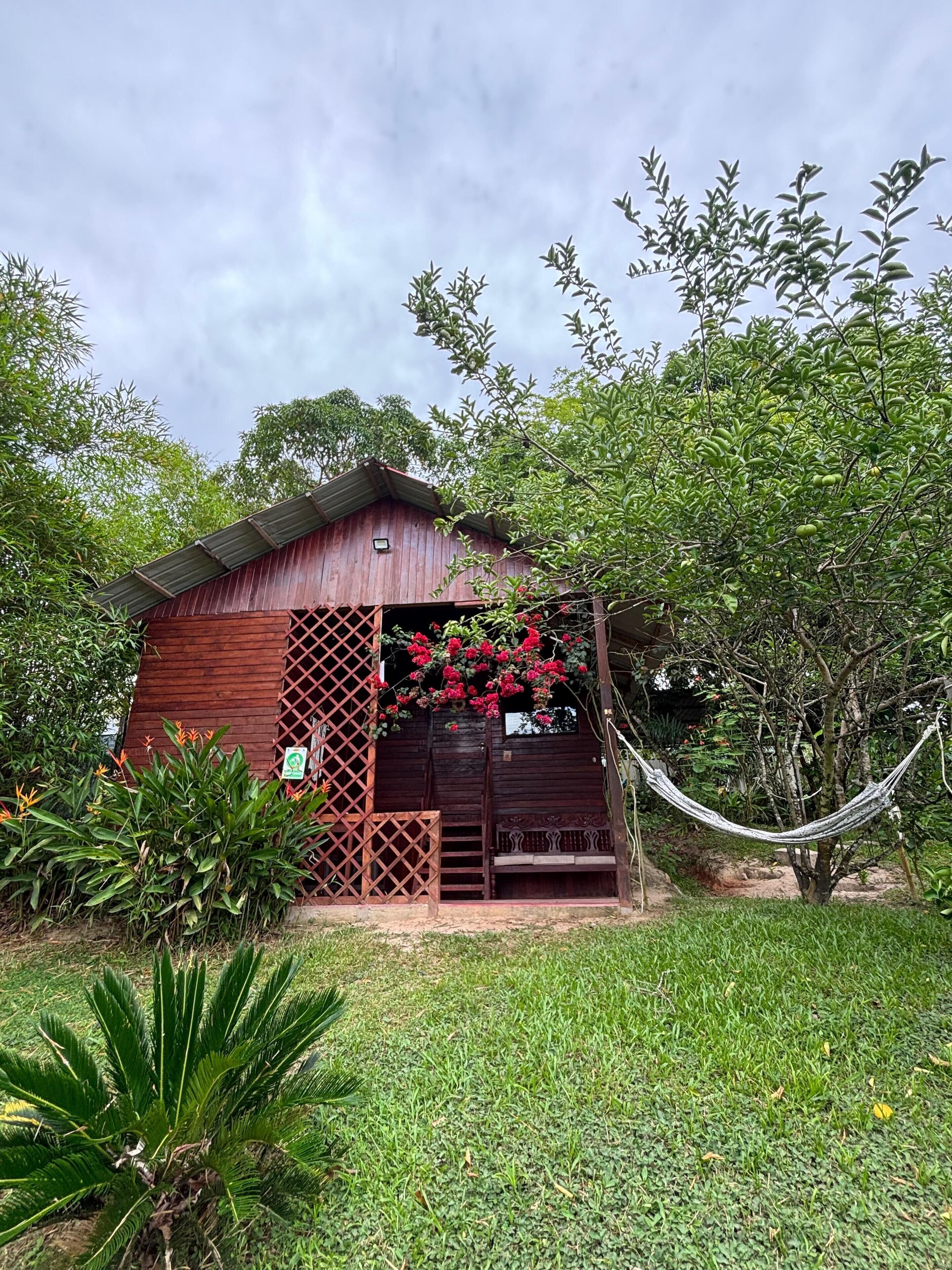 Bungalow superior, vistas al jardín