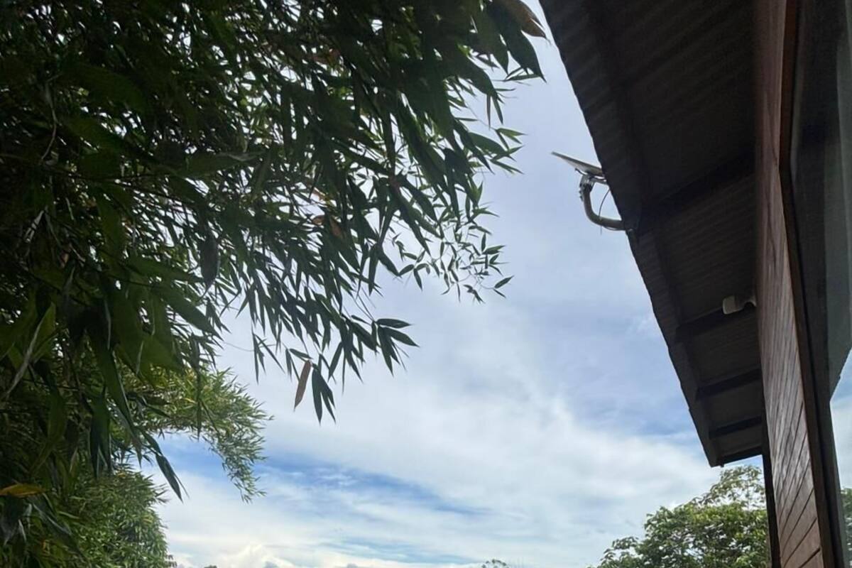 Bungalow Premium, vistas al jardín