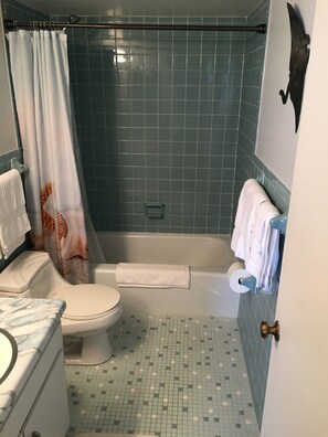 Shower, hair dryer, toilet paper - Flagler Beach Condo- Pet Friendly w/Ocean View Balcony & Beachfront Pool (Flagler Beach)