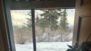A wooden door leading to a covered outdoor area with a snow-covered ground and trees in the background. - Hillside Haven Anchorage (Anchorage)
