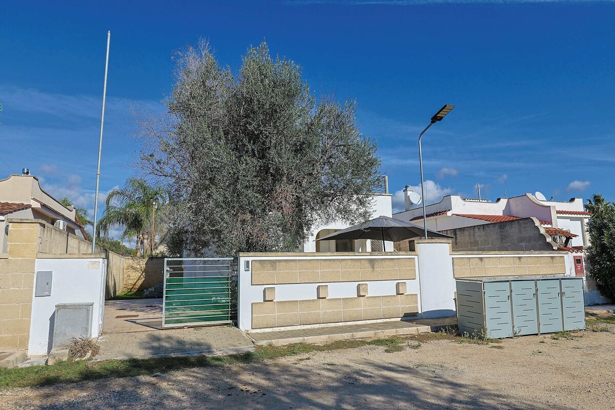 Imagen de perfil del propietario o de la propietaria