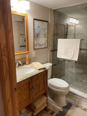 Shower, towels, toilet paper