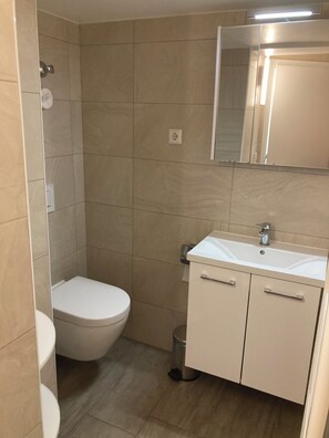 Shower, towels, toilet paper