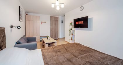 Cozy 1-bedroom apartment near Kaunas airport