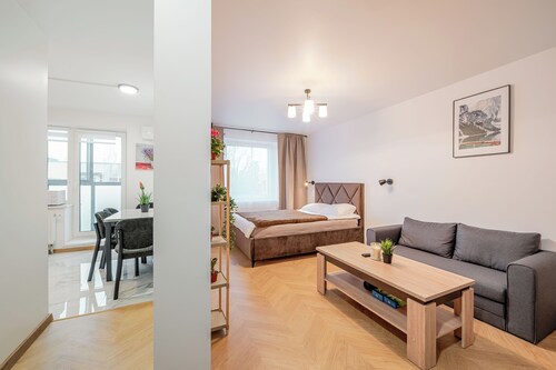 Cozy 1-bedroom apartment near Kaunas airport