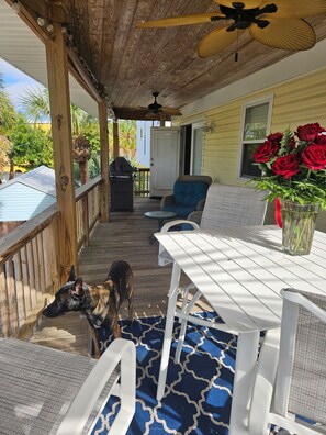 Una veranda coperta con un pavimento in legno, arredi da esterno, un barbecue e un cane.