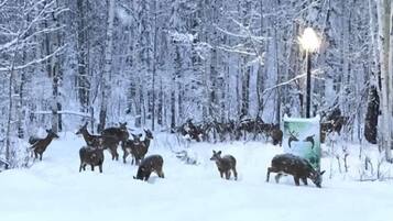 Une scène de forêt enneigée avec des cerfs et un lampadaire.