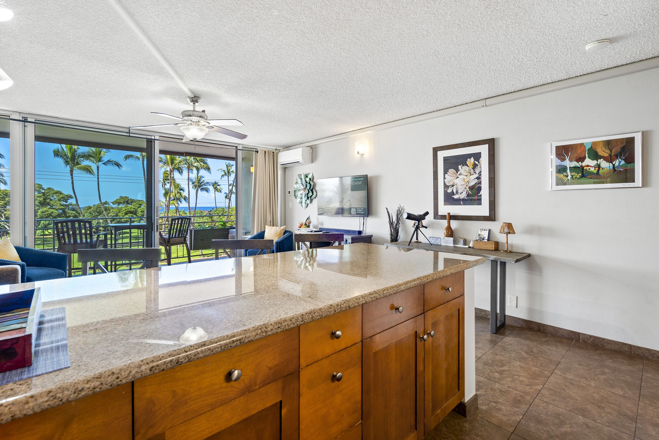 شقة - سرير كبير مع أريكة سرير - بشرفة مسقوفة - بمنظر للمحيط (Island Surf 304) | المنشأة من الداخل