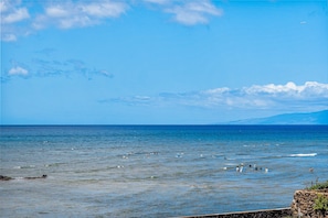 Beach - Shores of Maui 215 - Dramatic Ocean Views, Steps to the Beach, Renovated, AC! (Kihei)