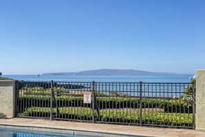 Pool - Shores of Maui 215 - Dramatic Ocean Views, Steps to the Beach, Renovated, AC! (Kihei)