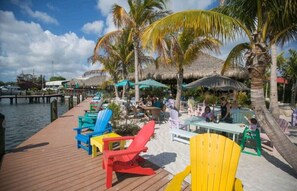 Outdoor dining - NEW Spacious Beach Home with lovely amenities in prime location! (St. Petersberg)