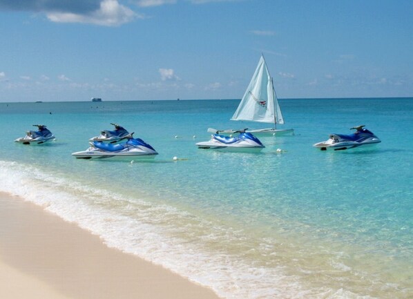 Beach - NEW Spacious Beach Home with lovely amenities in prime location! (St. Petersberg)