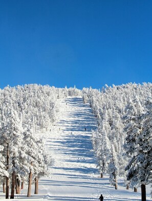 Snow and ski sports - Hotel-style studiow w/ 291 sq. ft. located @ Terrace bldg. Sleeps 2 guests. (Stateline)