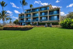 Exterior - Punahoa Beach 201 - Direct Ocean Front, Beautiful Renovation, Split AC, Wi-fi (Kihei)