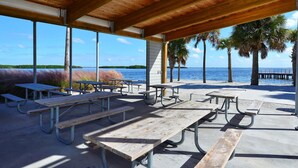 Un área de picnic techada con bancos y mesas que da a una playa con palmeras y el océano.