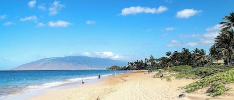 A beach with clear skies, a mountain in the background, and palm trees along the shore.