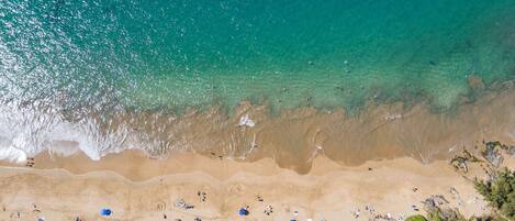 Vista aérea de una playa con agua turquesa cristalina, orilla arenosa y palmeras dispersas.