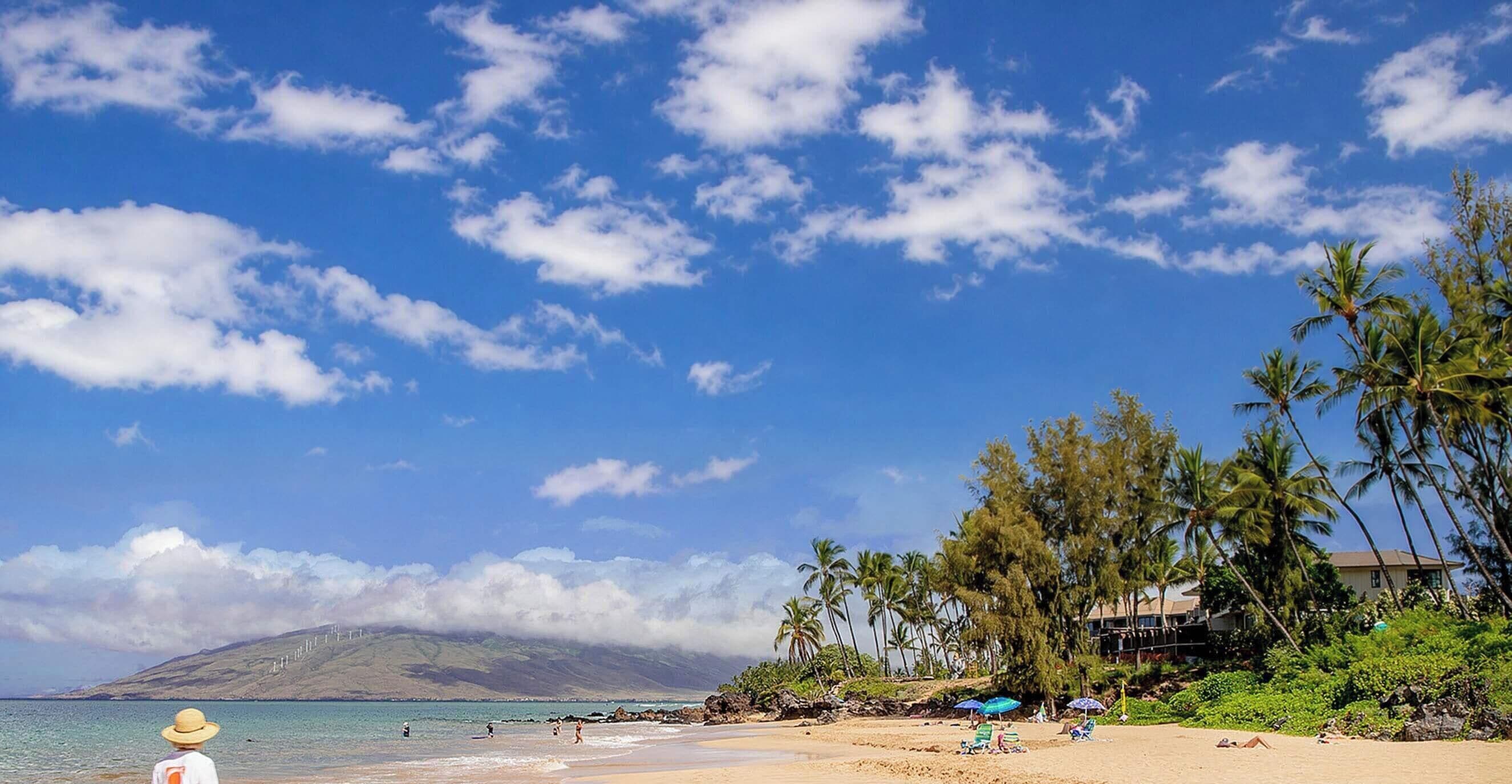 A beach with clear skies, palm trees, and a mountain in the background.