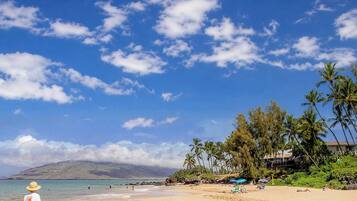 A beach with clear skies, palm trees, and a mountain in the background.