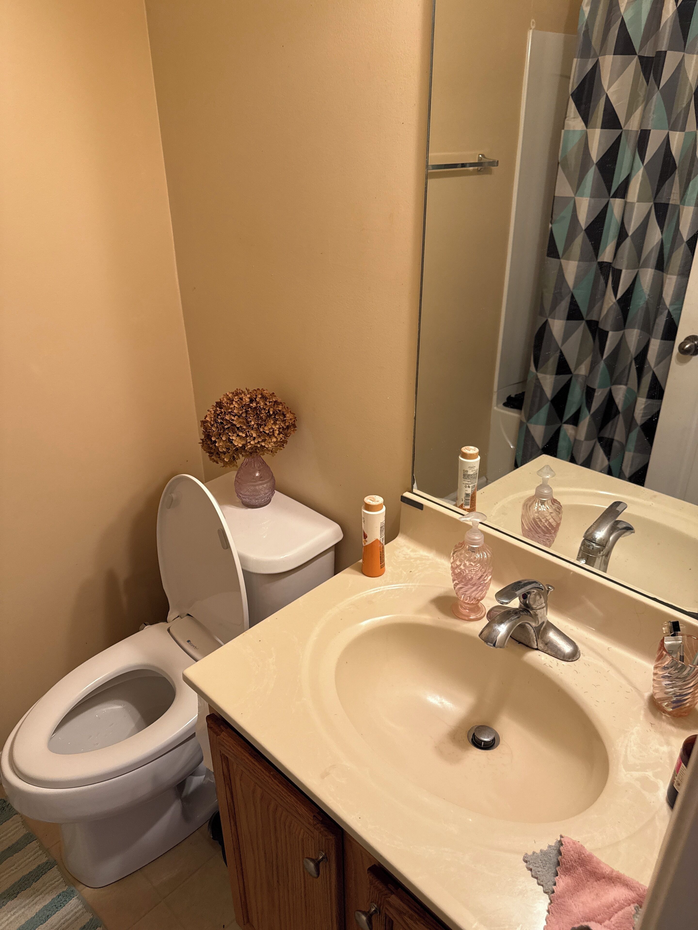 Asciugacapelli, bidet, asciugamani, sapone