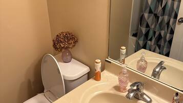 Hair dryer, bidet, towels, soap