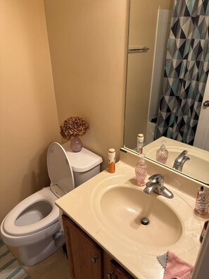 Secadora de cabello, bidet, toallas, jabón 