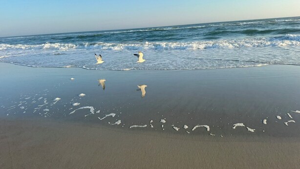 Una spiaggia con onde e tre uccelli che volano sopra l'acqua.