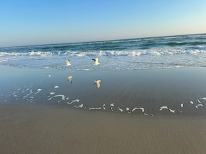 A beach with waves and three birds flying over the water. - Oceanside, GOLF CART, 3BR/2BA Home, Premier Location (Emerald Isle)