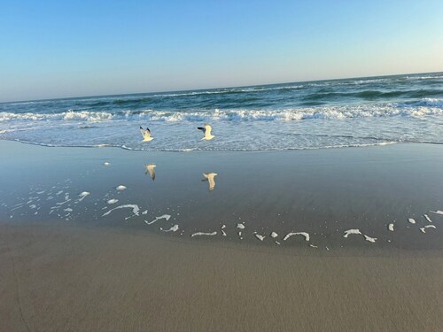 Lovely Oceanside 3BR, 2BA Home with Premier Location