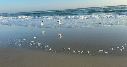 Lovely Oceanside 3BR, 2BA Home with Premier Location