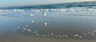 Lovely Oceanside 3BR, 2BA Home with Premier Location