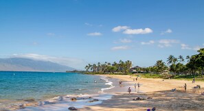 Beach nearby - Royal Mauian 309 - Direct Ocean Front, Renovated, Seconds to the Beach, Split AC (Kihei)