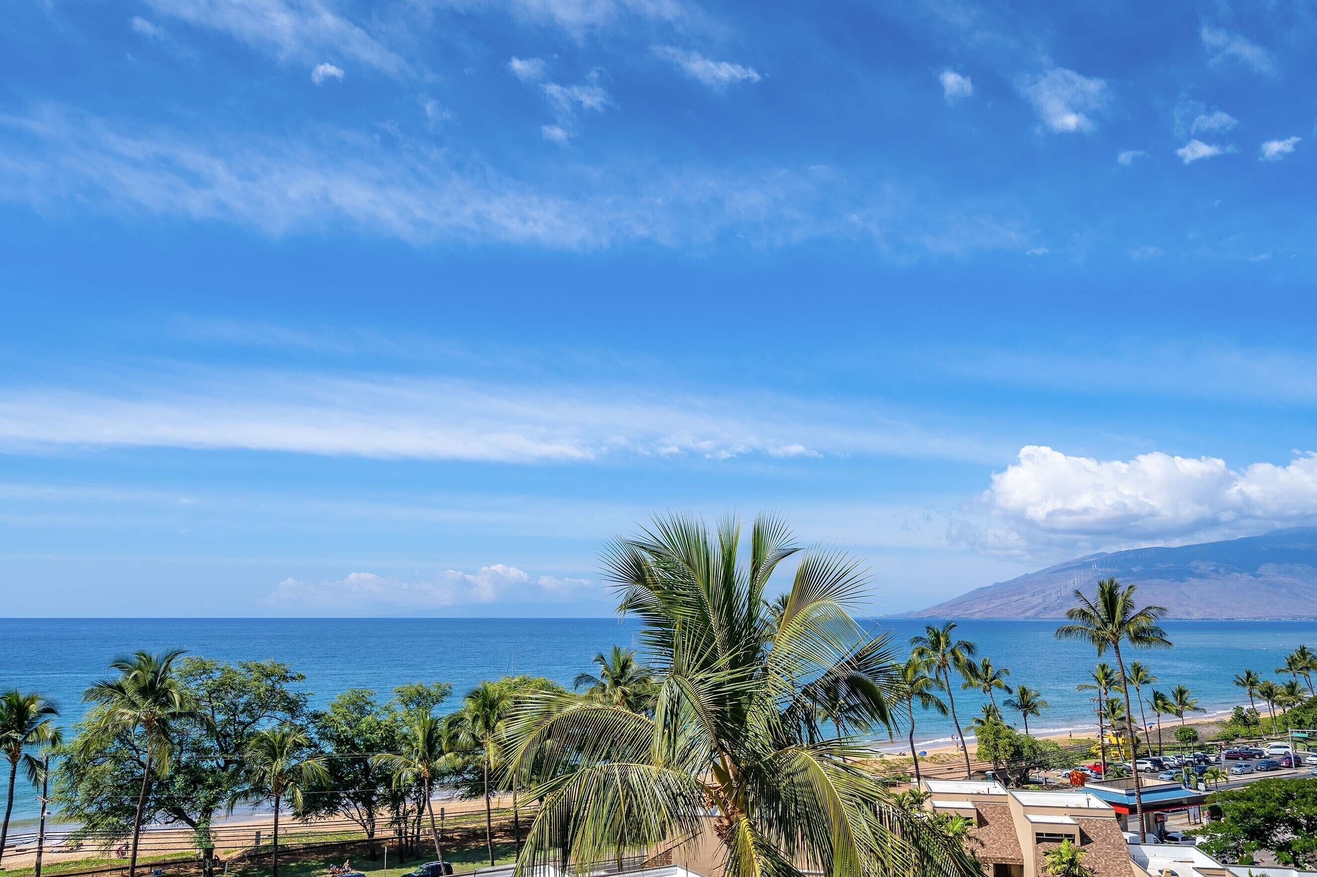 A coastal view with palm trees, a beach, and a mountain in the distance.