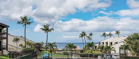 Un hotel con vistas al océano, palmeras y un cielo despejado.