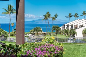 Property grounds - Hale Kamaole 150 - Great Ocean Views From Private Lanai, No Carpet, Split AC! (Kihei)