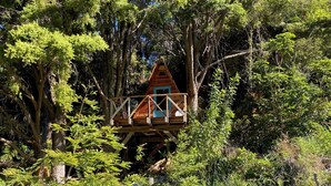 Une cabane perchée dans un arbre, dotée d’une terrasse en bois et d’un petit porche, entourée d’une forêt dense.
